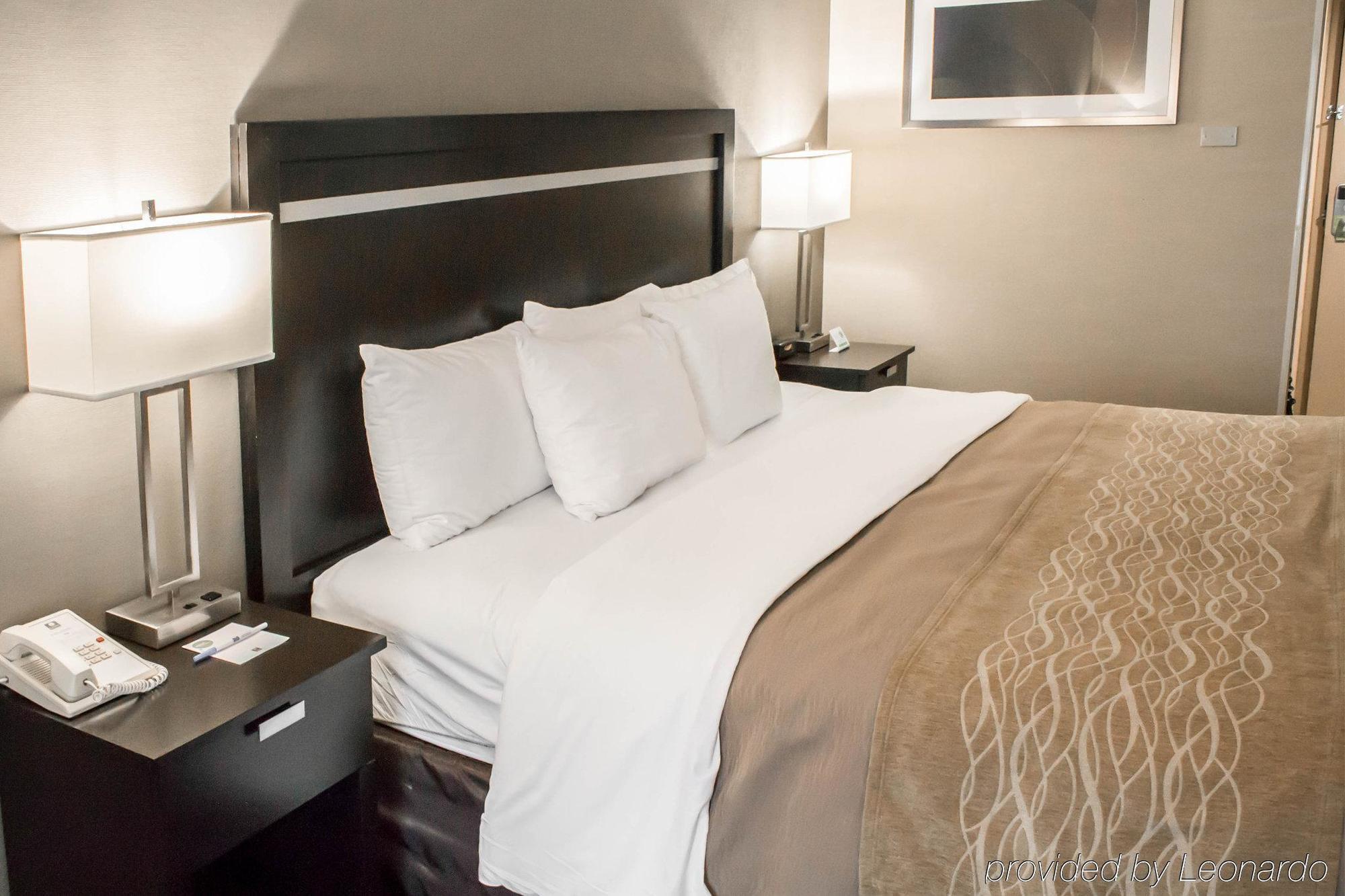 Holiday Inn Express & Suites - Albany Airport - Wolf Road By Ihg Dış mekan fotoğraf