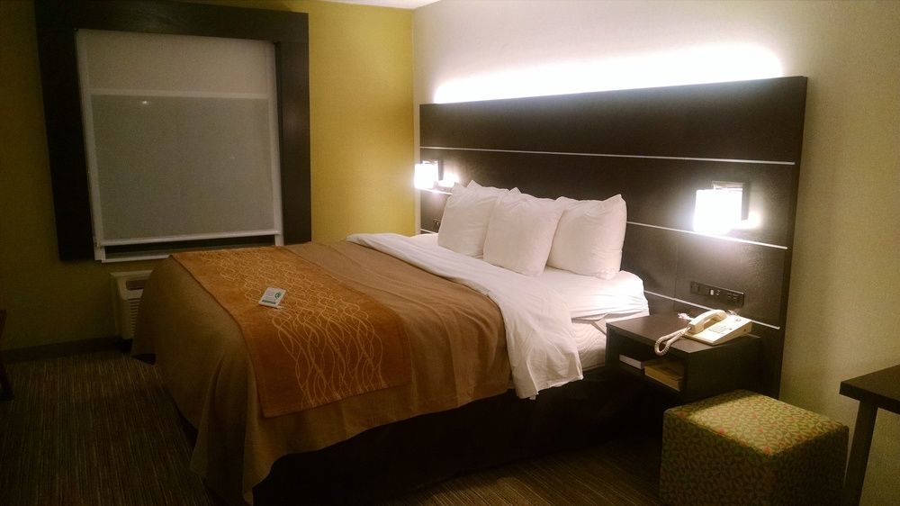 Holiday Inn Express & Suites - Albany Airport - Wolf Road By Ihg Dış mekan fotoğraf