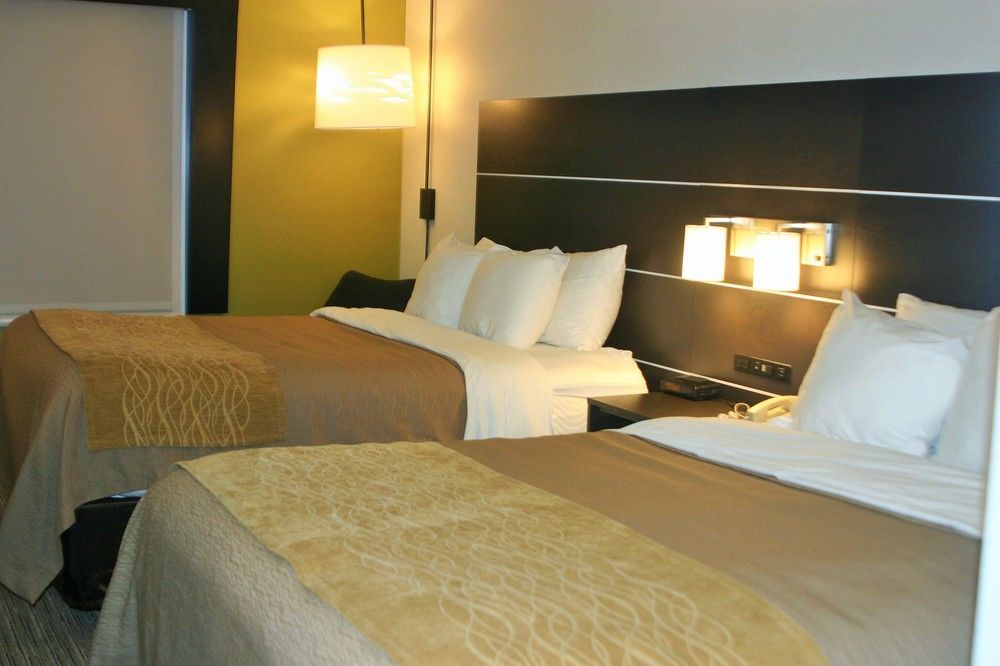 Holiday Inn Express & Suites - Albany Airport - Wolf Road By Ihg Dış mekan fotoğraf